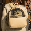 Cat Dog Bag Outing Backpack High-value