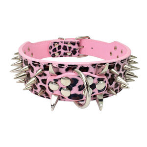 Leather dog with black spikes in a large dog collar