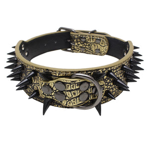 Leather dog with black spikes in a large dog collar