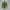 Women's New Yama Popular High Collar Long-sleeved Green Leopard Print Slim Fit Jumpsuit